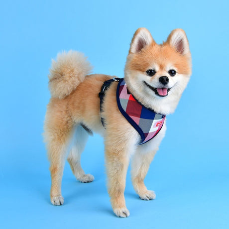 Puppia Quinn Harness model A Navy ( S & XL ) hondentuig > honden harnas > model A Small